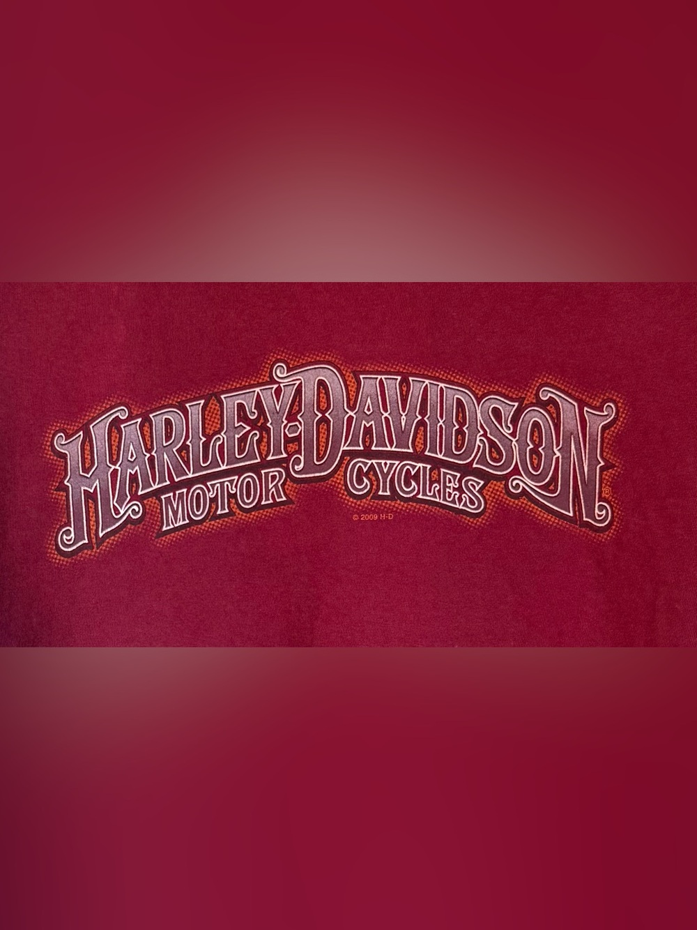 Harley-Davidson Tee Lynchburg Virginia Graphic Short Sleeve XL Burgundy USA 2009 - Picture 6 of 15